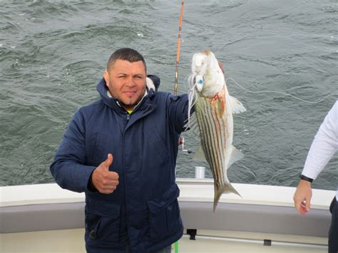 stripersonline nj|Fishing Reports .